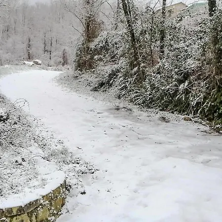 Merola * Novi Velia
