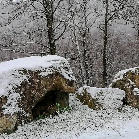Merola Novi Velia